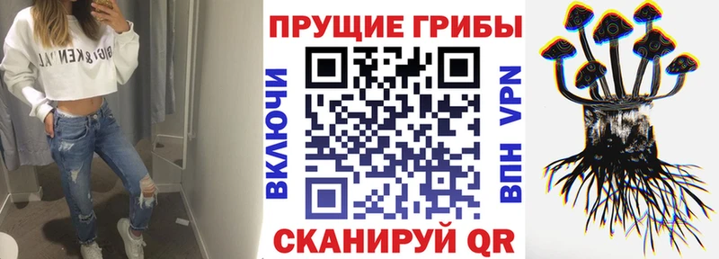 Псилоцибиновые грибы прущие грибы  Донской 