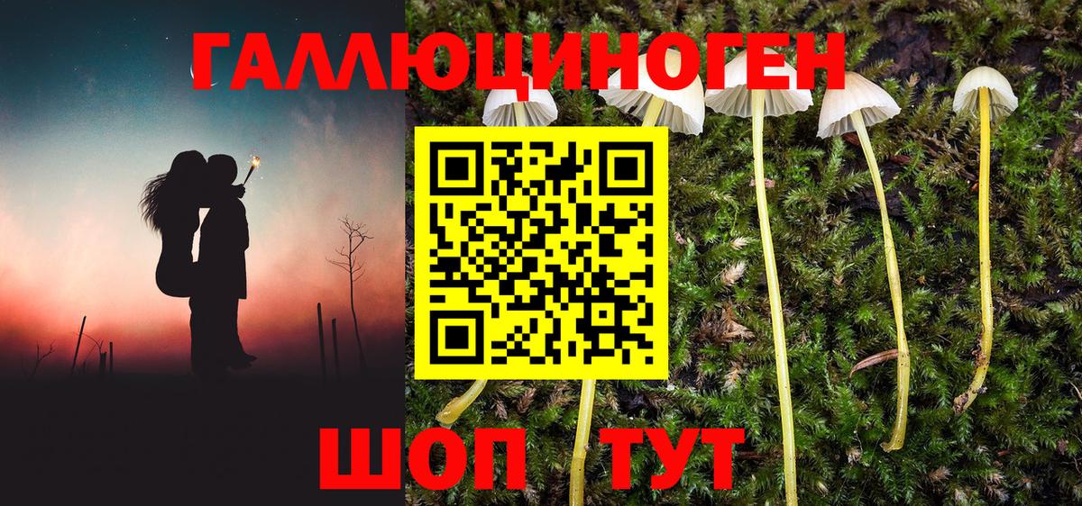 Галлюциногенные грибы MAGIC MUSHROOMS Донской